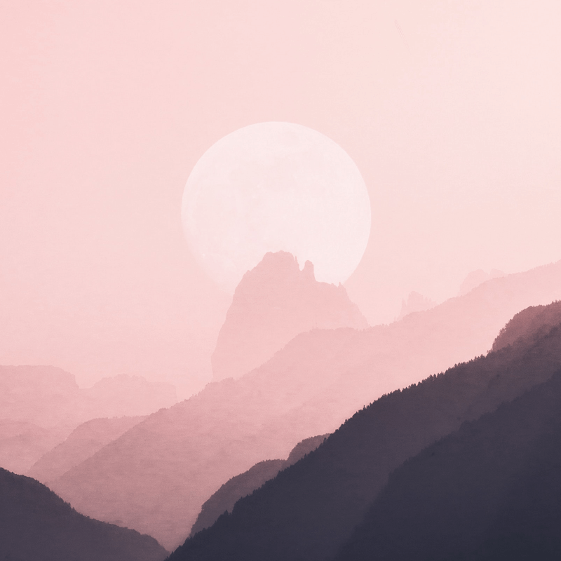 欢迎使用Z-BlogPHP！